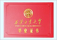 01接受能力强