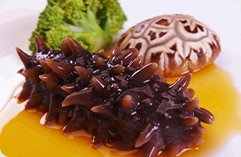 实操教学