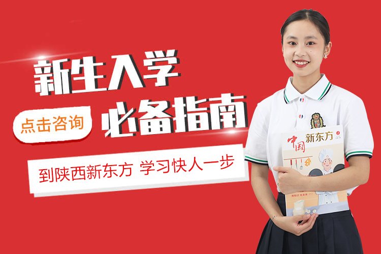 报名要求有哪些