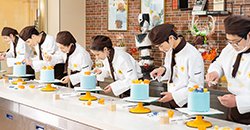 百余种爱游戏体育平台app入口登录入