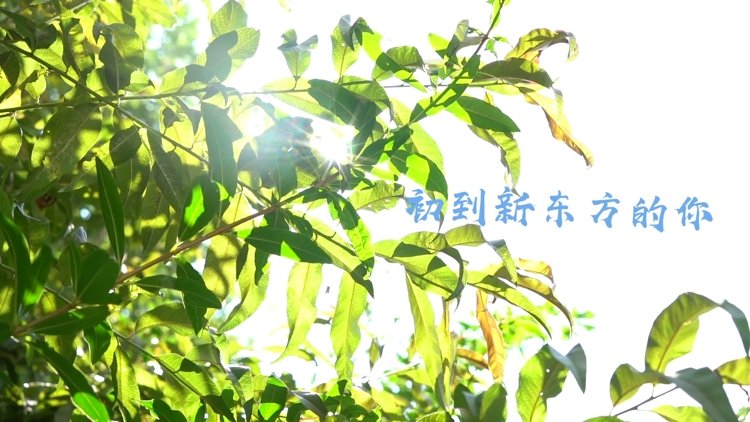 迎来了2022春季开学典礼. 同类内