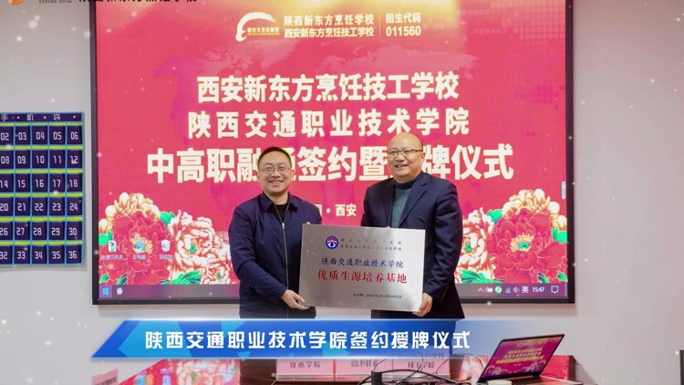 技能精修 3个月指导工作 同类内容