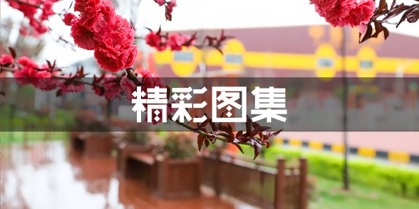 >别再用老印象定义厨师