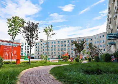 日常工作流程管理和产品研发创新意识