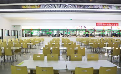 注册新生学籍
