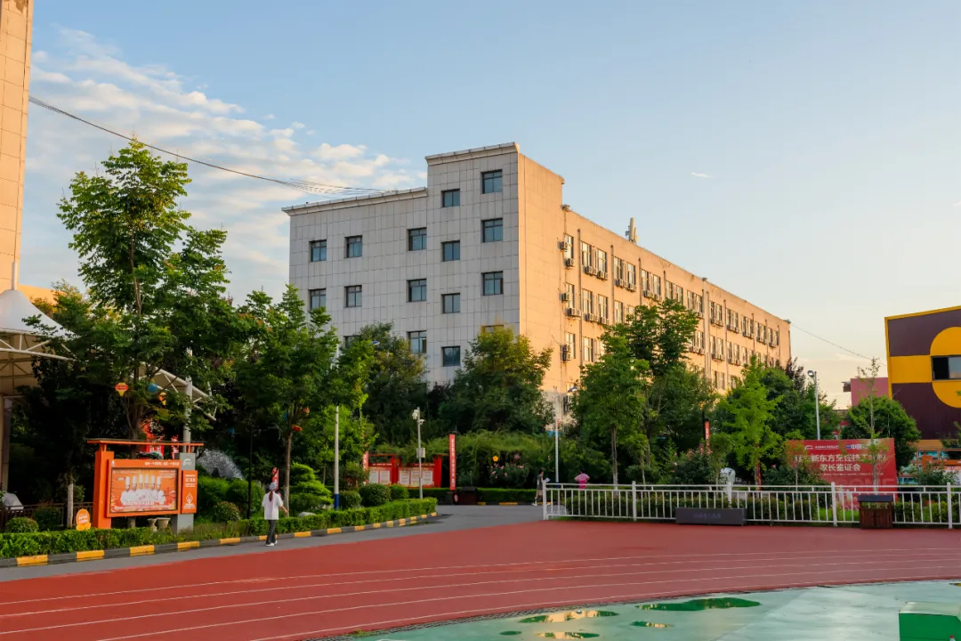 创新增设双高人才计划