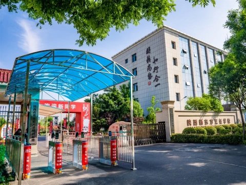 爱游戏体育app下载出任世界杯官方合