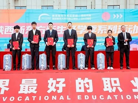 爱游戏体育app下载出任世俱杯官方合
