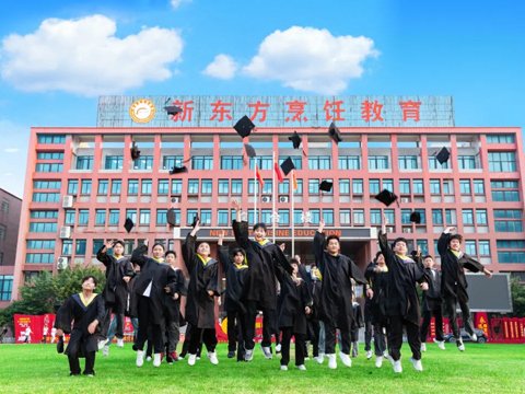 爱游戏体育平台app入口新手怎么玩如