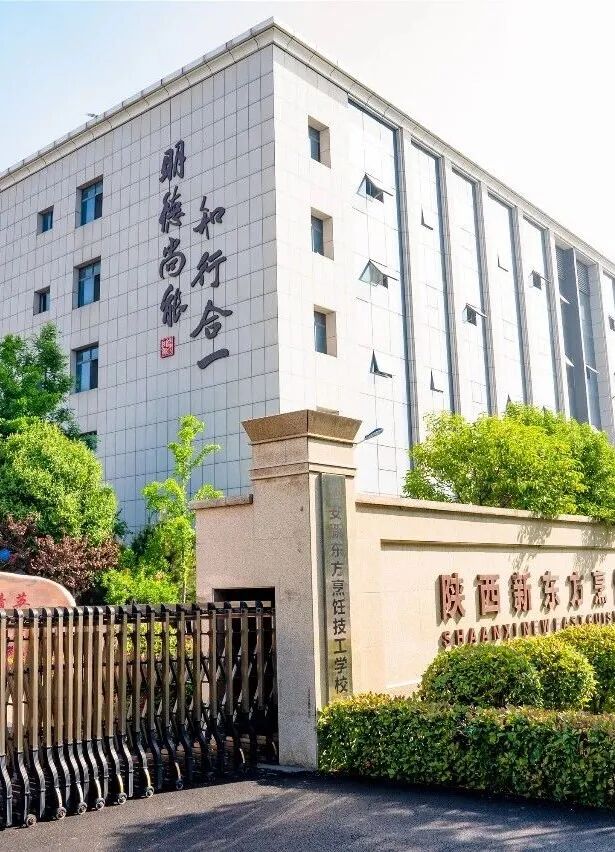 文章摘要