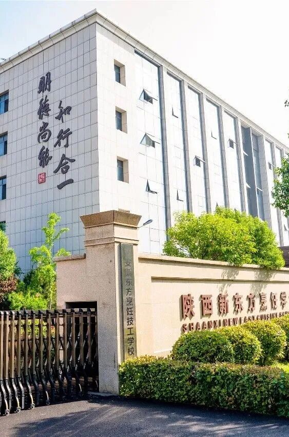 并给出多项实用择校参考标准