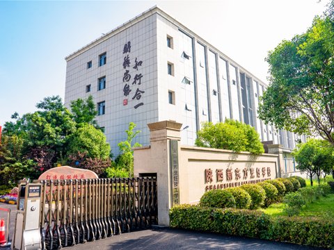 既夯实技能根基