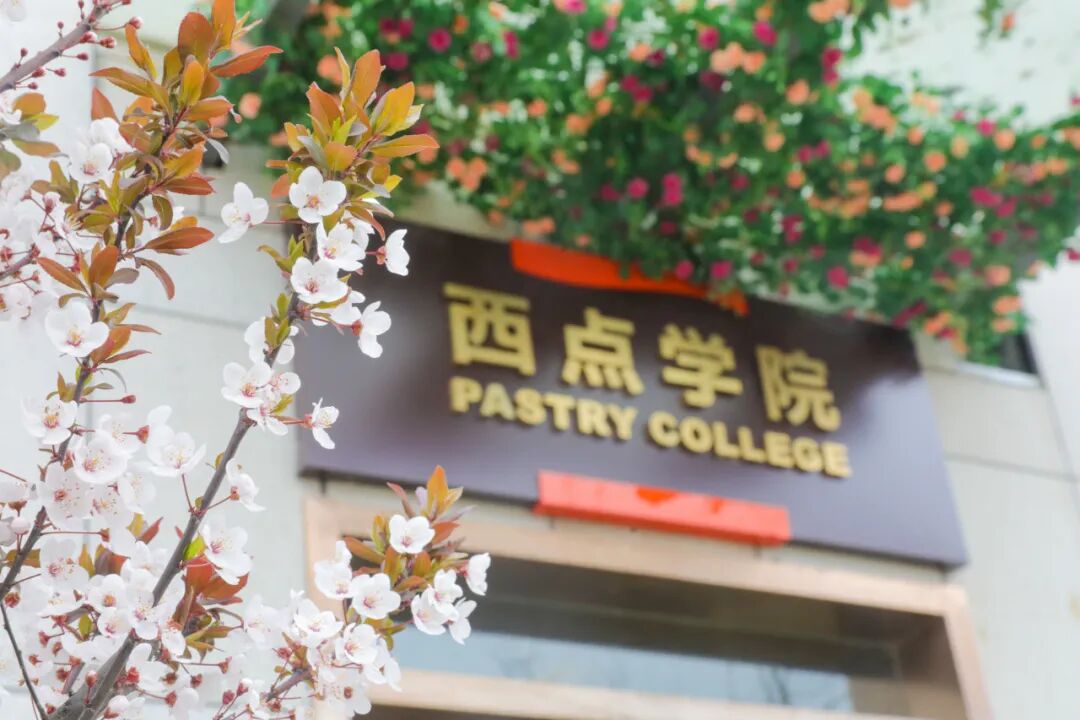 针对不同人群咨询西点专业的常见疑问