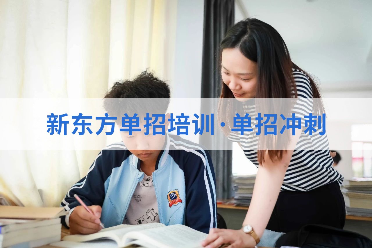 文章摘要