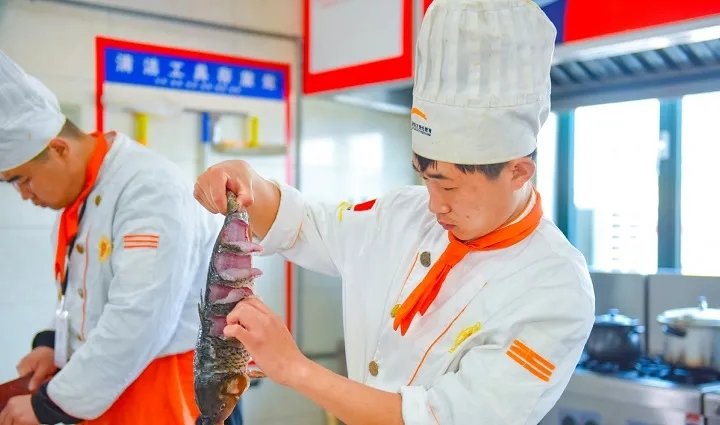 报名指南